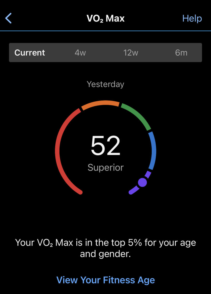 garmin connect vo2 max Who Cares About V02 Max?